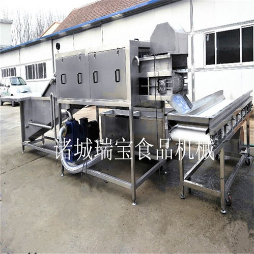 吉林高壓力大姜清洗流水線聯(lián)系方式在線咨詢